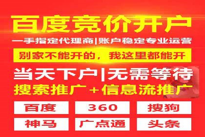 成功案例解析：SEO与SEM协同营销策略